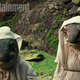 Imagen: Entertainment Weekly.